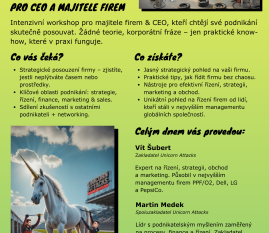 Business Pitstop: Workshop pro majitele firem a CEO