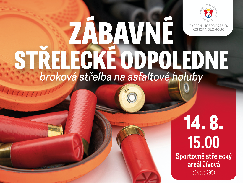 Zábavné střelecké odpoledne - broková střelba na asfaltové holuby